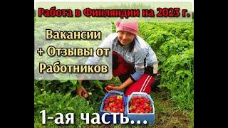 Вакансии в Финляндии 2023г. Отзывы работников. 1-ая ЧАСТЬ