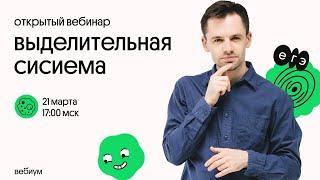 Выделительная система человека | Строение и функции | ЕГЭ по биологии 2021