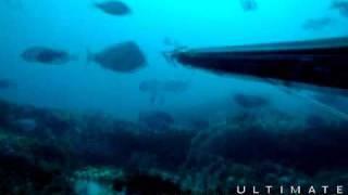 Gletwyn Rubidge Spearfishing