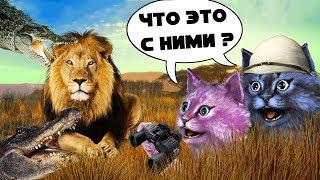 БЕЗУМНАЯ САВАННА! ЧТО ДЕЛАЮТ ЭТИ КРОКОДИЛЫ?! РОБЛОКС roblox Wild Savanna