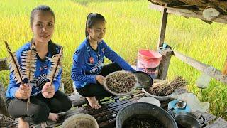 ก้อยกุ้ง ปิ้งปลาอยู่เถียงนาน้อย ກ້ອຍກຸ້ງປີ້ງປາຢູ່ຖຽງນາ