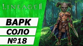 Варк Соло №18. Первый саб-класс часть 1 на Asterios x5. Lineage 2.