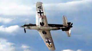 Dornier Do 335 - Fastest Piston Fighter of WW2