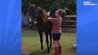 Horse Saves His Mom's Life By Running To Get Dad| The Dodo Faith = Restored