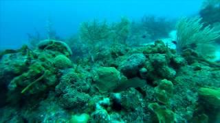 scuba en cuba