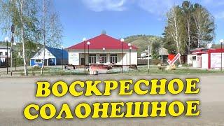 Поездка в Солонешное. Работа на стройплощадке (05.24) | Чайники в Деревне