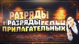 Разряды прилагательных по значению [Школьники Знают]