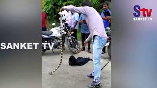 Odisha : 6-Feet-Long Banded Krait Rescued In Balasore Village | Sanket Tv