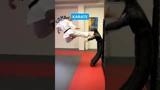 Karate vs. Ameridote 