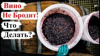 Вино НЕ БРОДИТ! Что ДЕЛАТЬ?