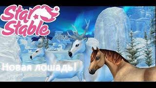 Star Stable-Покупка лошади Коннемара!Новые олени!Расширение локации