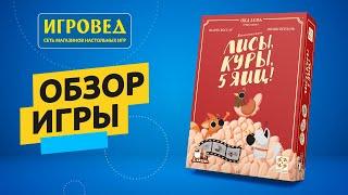 Лисы, куры, 5 яиц! Обзор настольной игры от Игроведа