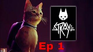 We Get To Play As A Cat!! Stray by BlueTwelve Studio (Soft Kitty Warm Kitty Little Ball of Fur)