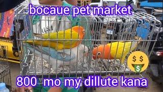 ep#127 bocaue pet market 800 mo may dillute kana.