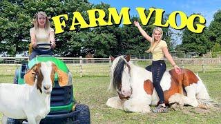 ESCAPING GOATS & BACK ON THE FARM | VLOG | LilPetChannel