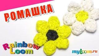 РОМАШКА из резинок Rainbow Loom Bands. Урок 469. Сплести РОМАШКУ из резинок.