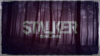 Stalker Online/Stay Out/Steam: ЧЕРНЫЙ ЛЕС / ВИНТОВКА L96 / и многое другое