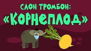 Слон Тромбон: "Корнеплод"