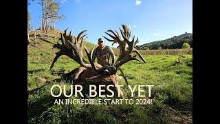 OUR BEST RED STAG YET!