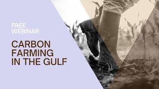 Carbon farming in the Queensland Gulf