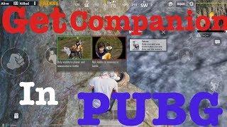 Get COMPANION EAGLE IN PUBG MOBILE