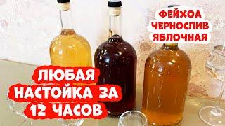 Любая настойка за 12 часов. Рецепт приготовления 3 настоек (Фейхоа чернослив яблочная)(Люксталь 7М).