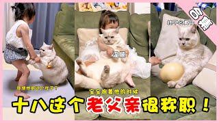 十八这个老父亲很称职！（合集）【十八的萌喵日记】