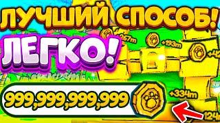 ️*СПОСОБ* ДЛЯ БЫСТРОГО ФАРМА CARTOON COINS В Пет Симулятор Х! DOODLE COINS В PET SIMULATOR X!