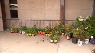 Volunteers Beautify Entrance of Robbinsdale Middle School