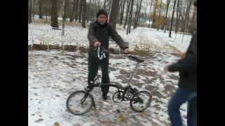 Russian bear Mikheeff rides a bicycle Brompton.