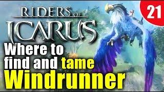 Riders of Icarus - Where and how to tame Windrunner - Windrunner Mark Recipe!