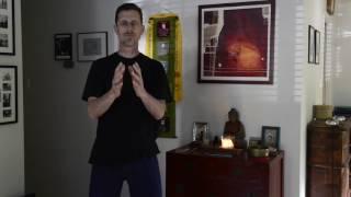 Microcosmic Orbit -  A Qi balancing exercise