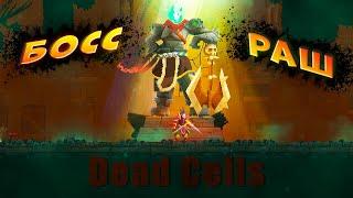 босс-раш на 5 клетке в Dead Cells