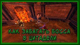 КАК забагать БОССА в Цитадели - НЕВРВИНТЕР/ NEVERWINTER - HOW to bug the BOSS in the Citadel