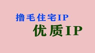 购买住宅IP webshare