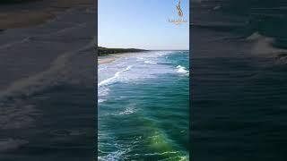 Jannatga birinchi kiruvchi ummat...