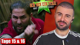 PEINLICHSTER Abgang! | Tage 15 & 16 Dschungelcamp 2025 | Sanijel Jakimovski