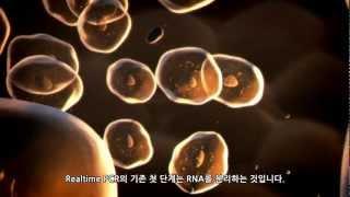 Ambion® Cells-to-CT™ 로 간단하고 신속한 Realtime PCR을!