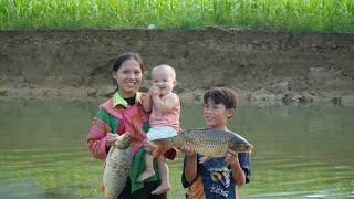 Catching Big Fish After Typhoon Yagi - Meeting the Orphan Boy Again | Ly Tieu Ca