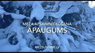 Apaugums. Meža īpašnieka skatījums