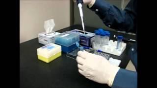 Hanging Drop Vapor Diffusion Protein Crystallization Tutorial