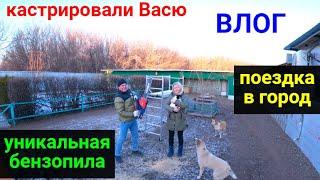 VLOG ● Оренбург. Кастрировали кота Васю. Покупки. Пришла новая бензопила!