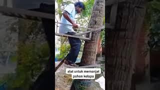 Kreatif!!! Alat Untuk Memanjat Pohon Kelapa #shorts