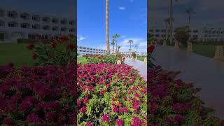  BARON RESORT SHARM  EL SHEIKH 5*, Шарм, Рас Насрани, Египет - для любителей снорклинга, семейный