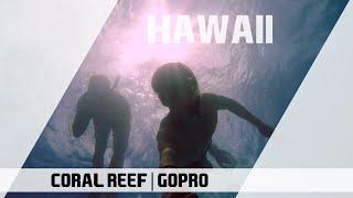 GoPro | Snorkling Hanauma Bay - Coral Reef | Oahu, Hawaii
