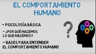 Comportamiento humano (psicología básica)