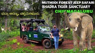 MUTHODI FOREST JEEP SAFARI - CHIKMAGALURU - BHADRA WILD LIFE - BADHRA FOREST SAFARI - LAKKAVALLI