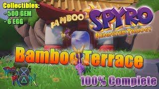 Spyro 3 - Bamboo Terrace (100% Complete)