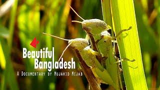 ফড়িং | Poring | Foring | Beautiful Bangladesh Documentary | Mujahid Mijab | Depth of Dark