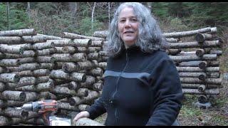 Growing Mushrooms on Log in Canada